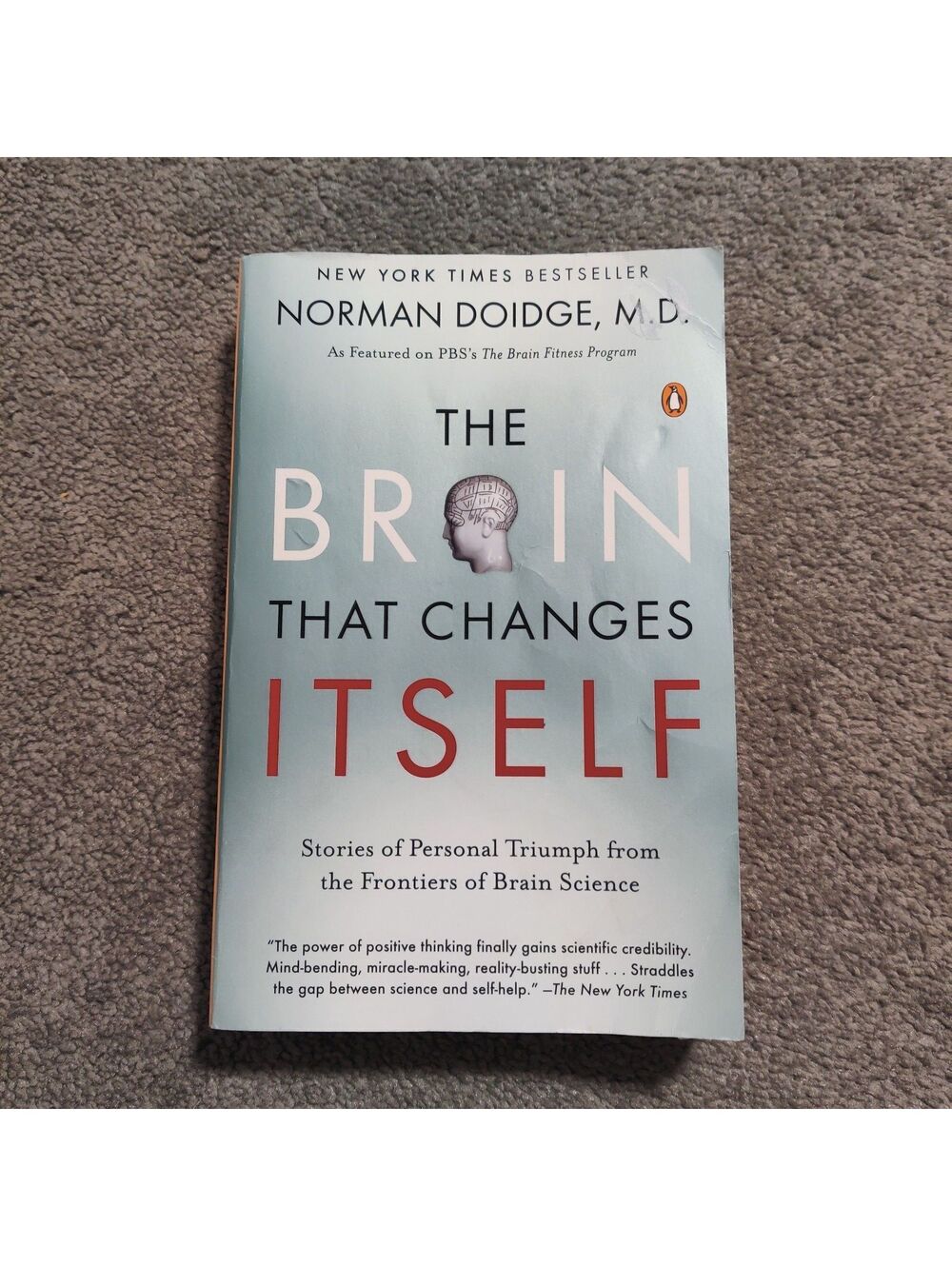 The Brain That Changes Itself by Norman Doidge MD Paperback Neuroscience